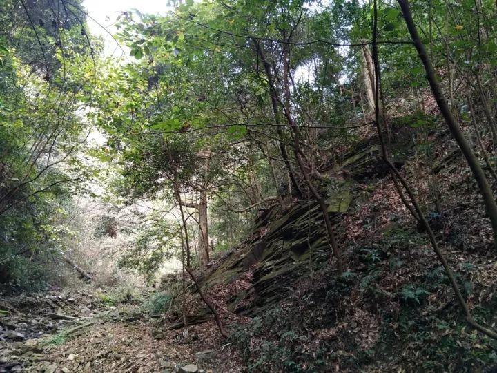 脑洞小老弟无实名认证